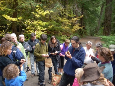 Teaching mushroom identification at the Opal Creek Ancient Forest Center, circa 2008