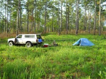 Campsite during fieldwork in Ozark National Forest near Optimus, 2012