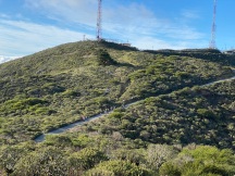 Leading a lichen walk with CNPS on San Bruno Mountain in 2020