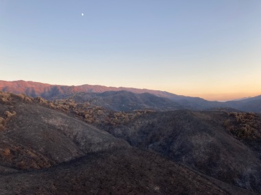 Post-fire landscape at the Quail Ridge reserve, fall 2020